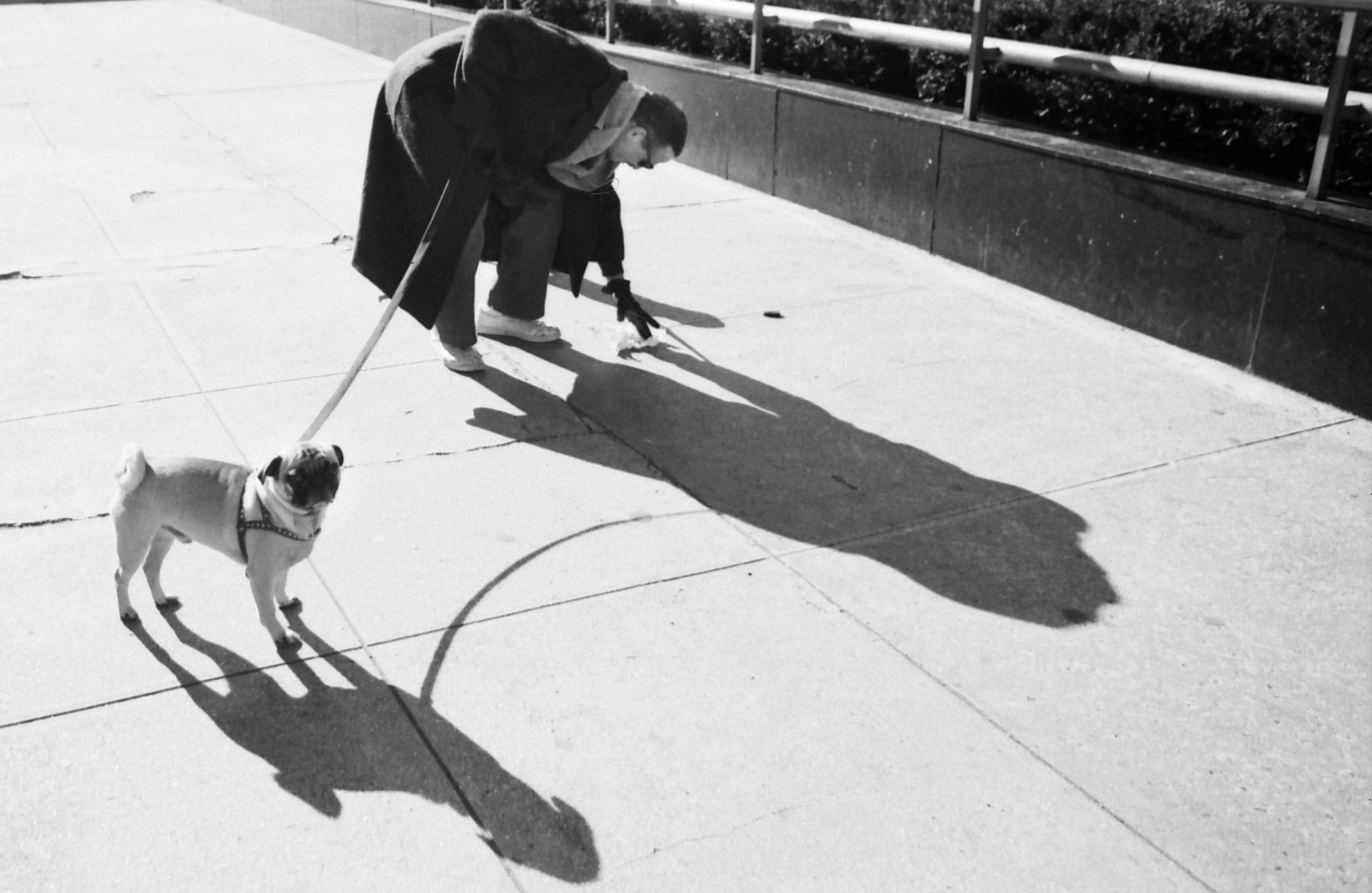 New York Street Photography, 1984 · 07